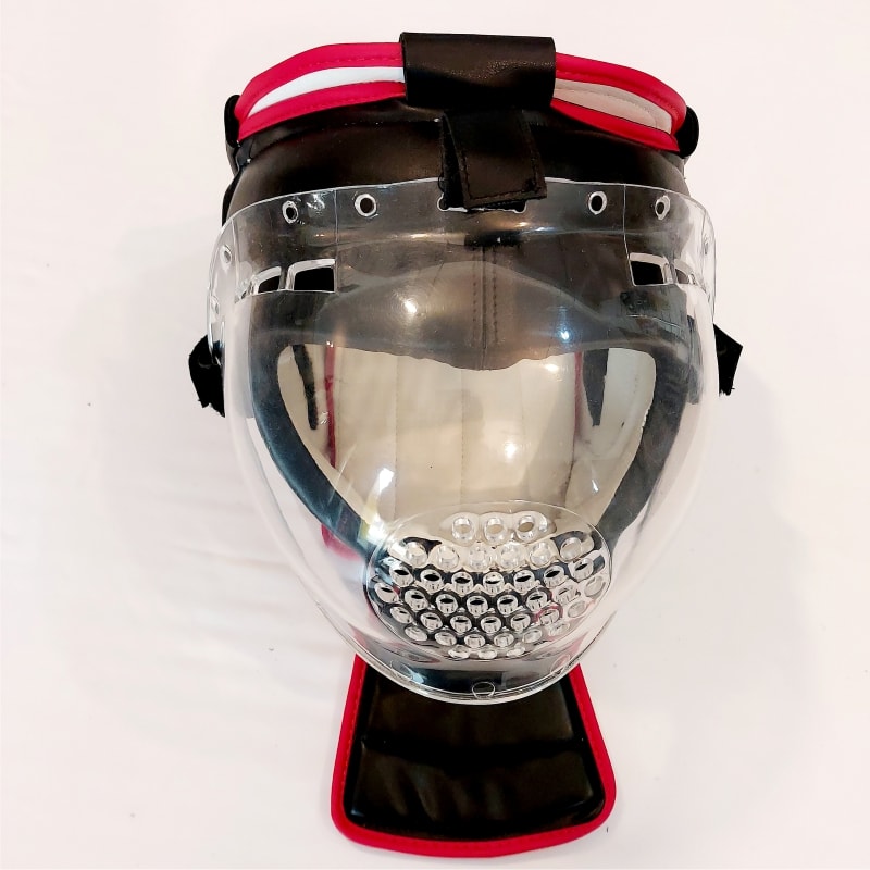 Head Guard